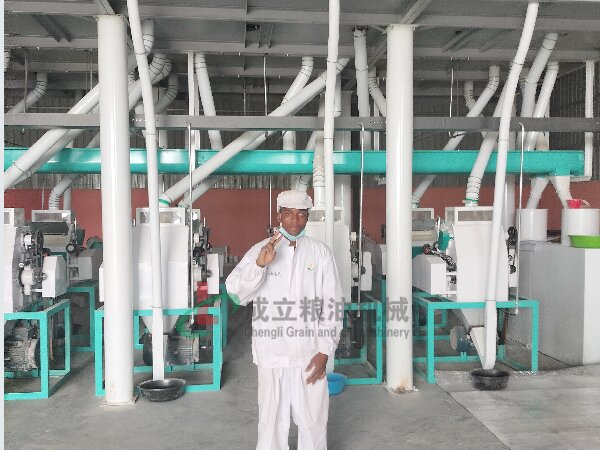 出口非洲莫桑比克日產50噸玉米磨粉機